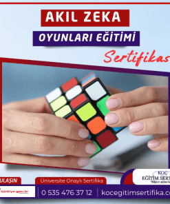 Akil Zeka Oyunlari Egitimi Sertifikasi 1