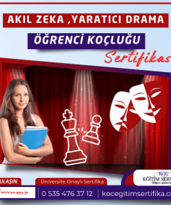 Akil Zeka yaratici Drama Ogrenci Koclugu Sertifikasi