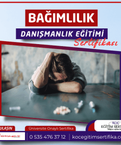 Bagimlilik Danismanlik egitimi Sertifikasi