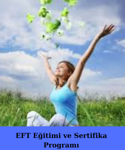 EFT Eğitimi ve Sertifika Programı