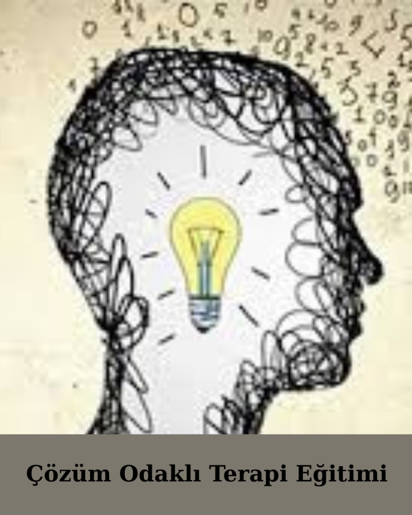 Çözüm Odaklı Terapi Eğitimi