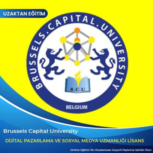 Dijital Pazarlama ve Sosyal Medya Uzmanlığı Lisans