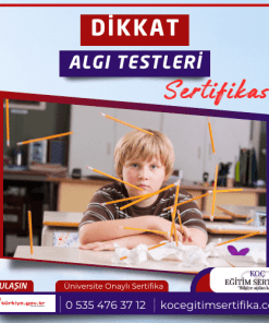Dikkat Algi Testleri Sertifikasi