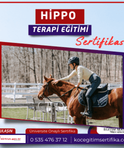 Hippo Terapi Egitimi Sertifikasi