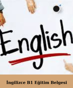 İngilizce B1 Eğitim Belgesi