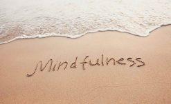 Mindfulness Nedir G nl k Hayat m za Katk lar