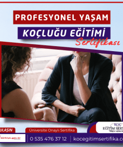 Profesyonel Yasam Koclugu Egitimi Sertifikasi