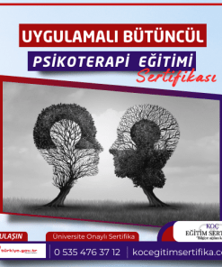Uygulamali Butuncul Psikoterapi egitimi Sertifikasi