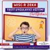 WISC R Zeka Testi Uygulayici Egitimi Sertifikasi