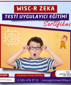 WISC R Zeka Testi Uygulayici Egitimi Sertifikasi