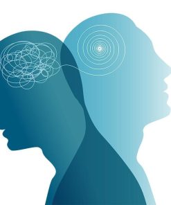 aile dizimi sertifikasi 1