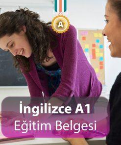 ingilizce a1 eğitim belgesi