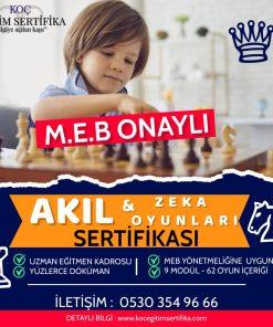 akıl zeka oyunları sertifikası
