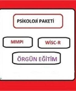 mmpi ve wisc r zeka testi son basvuru 28 bc32