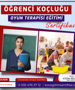 renci Koclugu Oyun Terapisi egitimi Sertifikasi 1