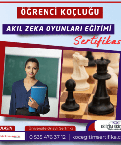 renci Koclugu ve Akil Zeka Oyunlari egitimi Sertifikasi 1