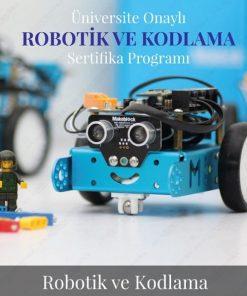 Robotik ve Kodlama Formatörlük