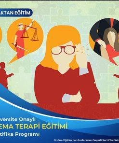 şema terapi eğitimi