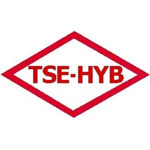 tse hyb